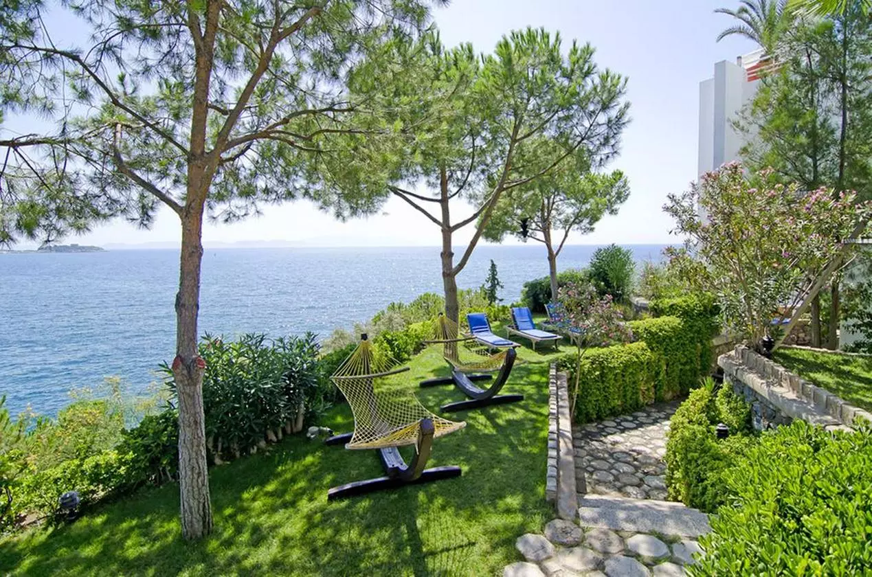 VISTAHILL_SHABAVIZ (26).jpg